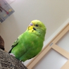 ありがとうございました。 サムネイル4