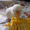 ありがとうございました。 サムネイル5