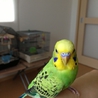 ありがとうございました。 サムネイル6