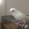 ありがとうございました。 サムネイル7