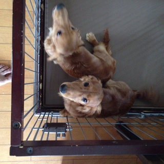 沢山の申し出ありがとうございました。