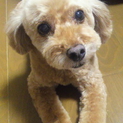 たくさんのお問い合わせありがとうございました。