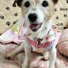 ねね♀ちゃん サムネイル5