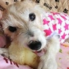 ねね♀ちゃん サムネイル3