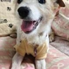 ねね♀ちゃん サムネイル2
