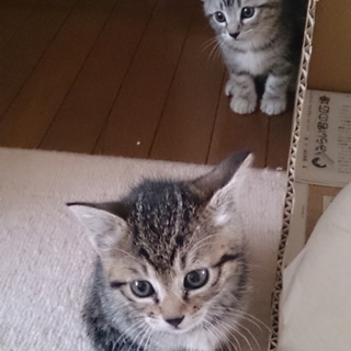 お問い合わせをいただいた方々ありがとうございます。