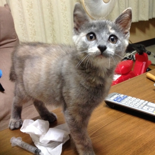 里親さん決まりました！