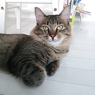 可愛がってくださる方を募集♪