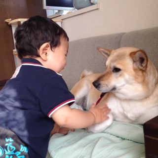急募です！！