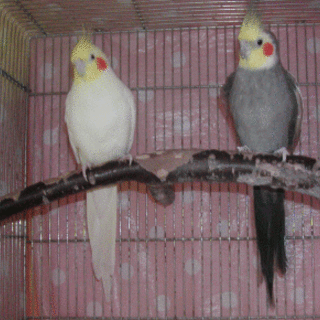 沢山のご応募ありがとうございました。