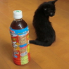 黒猫はじめませんか？2　[ あーちゃん（仮） ] サムネイル3