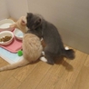 よく頑張ったすみ♀・かい♂ サムネイル2