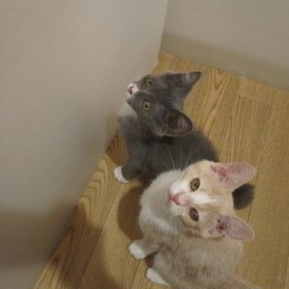 よく頑張ったすみ♀・かい♂