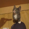 よく頑張ったすみ♀・かい♂ サムネイル3