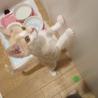 よく頑張ったすみ♀・かい♂ サムネイル7