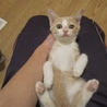よく頑張ったすみ♀・かい♂ サムネイル5