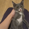 よく頑張ったすみ♀・かい♂ サムネイル4