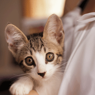 優しく育ててます。