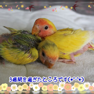 今回も沢山のご応募ありがとうございました。