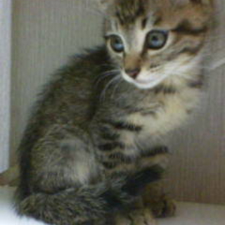 かわいい子です！