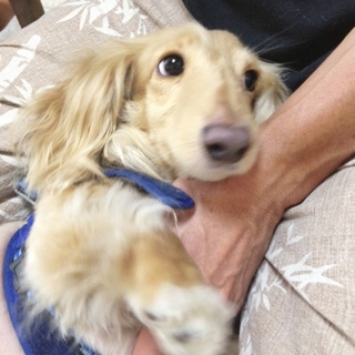 ありがとうございました！