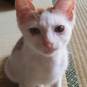 元気いっぱいの男の子です