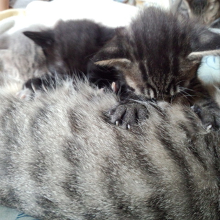 平成25年7月13日生まれです！