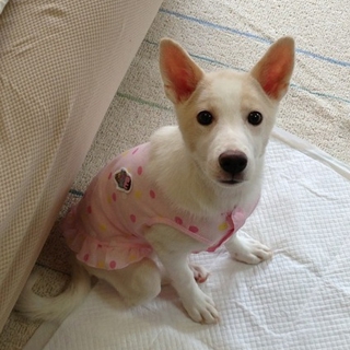 心から愛し心配して下さったご家族の娘になりました