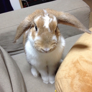 !!急募しています!!