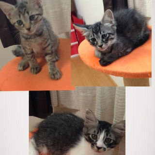 2013年6月3日に生まれた可愛いぃ兄妹達！
