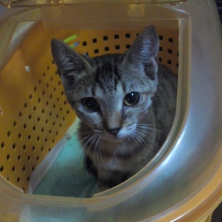 急いでます!! 誰かいませんか；；？