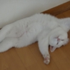 至急連絡欲しいです>_< サムネイル5