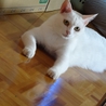 至急連絡欲しいです>_< サムネイル4