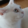 至急連絡欲しいです>_< サムネイル3
