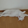 至急連絡欲しいです>_< サムネイル7