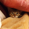ありがとうございました。 サムネイル3