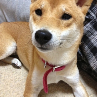 たくさんのお問合せありがとうございました！