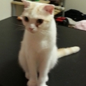 元気いっぱい