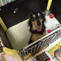 お願い致します！