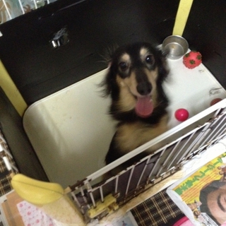 お願い致します！