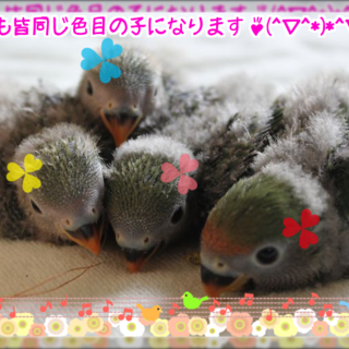 沢山のご応募ありがとうございました。