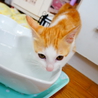 もみもみグセのある３兄弟(●'∪`●) サムネイル7