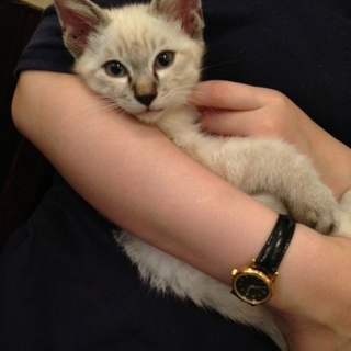 人懐こくて元気いっぱいの男の子です。