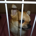 お問い合わせいただいた皆様ありがとうございました。