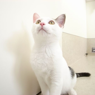 病院育ちのイケメン