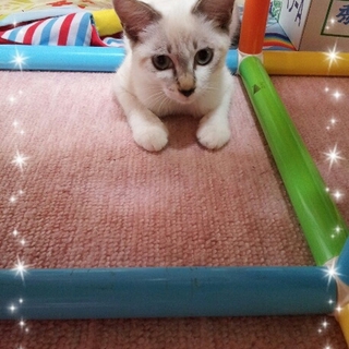 幸せに出会えました