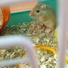 急募です！ サムネイル2
