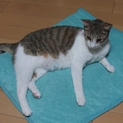 いつでもご機嫌さん♪　性格花まるの男の子