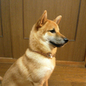 たくさんのご応募ありがとうございました！