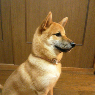 たくさんのご応募ありがとうございました！